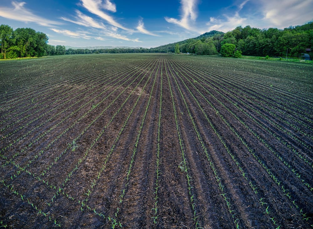 Farmland in northwest Georgia with open fields, fencing, and low hills near the Chattanooga area