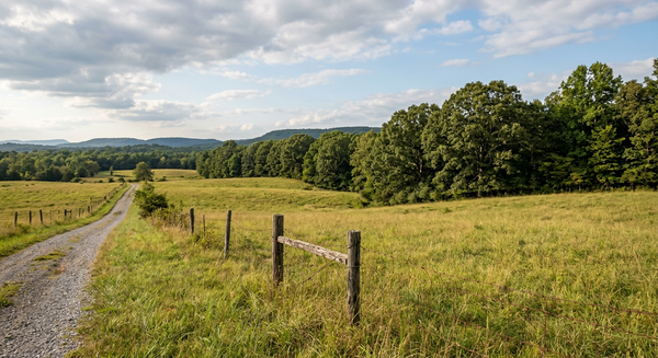 Open fields and tree-lined landscape at McDonald Farm in Sale Creek, Hamilton County, where Tennessee officials are planning a future state park.